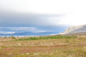 Obraz premium Soft landscape in Iceland, blue with white sky, autumn colors in the foreground, mountain on the right and in the background, copy space.