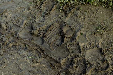 Footprints in mud. Footprints and traces in wet brown mud