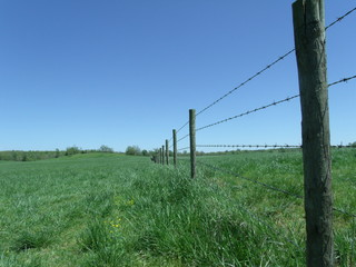 Obraz premium Perspective view down a barbed wire fence line