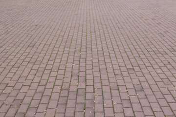 Fototapeta premium Ground in the city