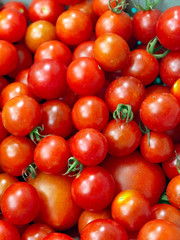 Cherry Tomatos