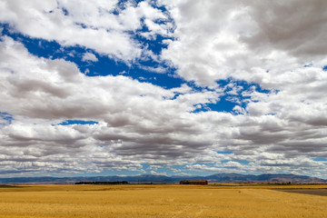 Fototapety na wymiar - Fototapeta24.pl