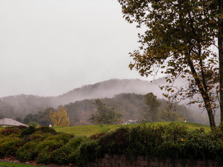 Fototapeta na wymiar Mist on Hillside