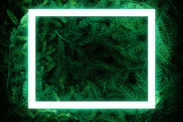 Creative fluorescent color layout made of spruce branches