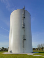 Biomass crane for handling biomass woodchip