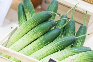 fresh cucumbers in a wooden box
