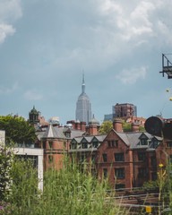 Obraz premium Empire State Building 