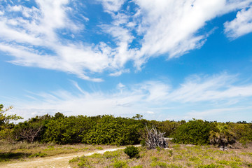 Typical landscape with clouds of Sanibel Island, Florida, USA
