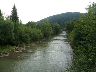 Clean beautiful river with overgrown banks