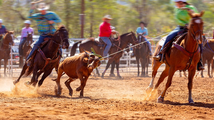 Team Calf Roping Competition