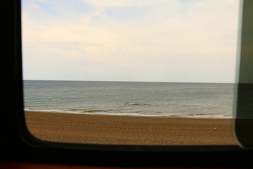 ballenas vistas desde la playa en puerto madryn, Argentina