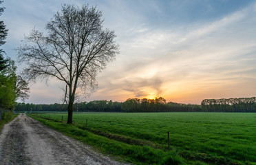Fototapeta premium Sunset over the forests of the Veluwe near Loenen with fields on foreground being crossed by museum railway line of VSM