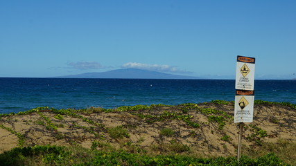 ocean view