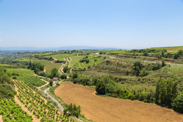 Elvillar, Spain. Summer rural landscape