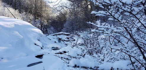 Rivers and Forest of Ushuaia in Winter, Tierra del Fuego, Patagonia