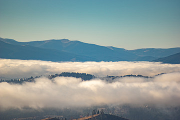 The fog envelops the forest