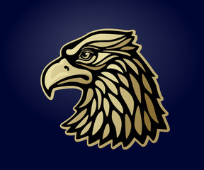 Eagle head msacot isolated on dark background. Vector illustration