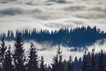 Montagnes des Carpates dans les vagues de brouillard