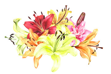 Elegant red yellow orange white pink lilies, lily bouquet on an isolated white background, watercolor stock illustration.