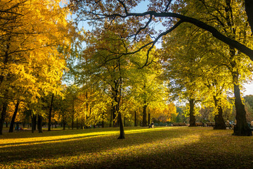 Naklejka premium Autumn in the Tauride Garden. Petersburg