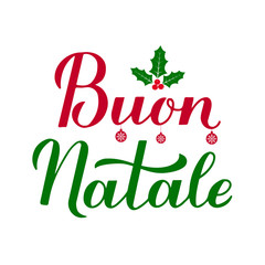 Buon Natale calligraphy hand lettering with holly berry mistletoe isolated on white. Merry Christmas typography poster in Italian. Vector template for greeting card, banner, flyer, sticker, etc.