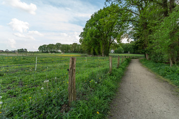 Fototapeta na wymiar Dirt track leading through the green fields of the IJssel Valley edge with Veluwe with trees in green landscape near Loenen (The Netherlands)