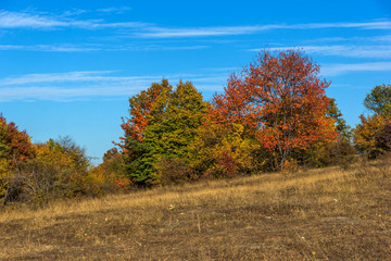 Fototapeta premium Autumn landscape of Cherna Gora mountain, Bulgaria