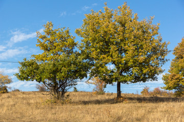 Autumn landscape of Cherna Gora mountain, Bulgaria