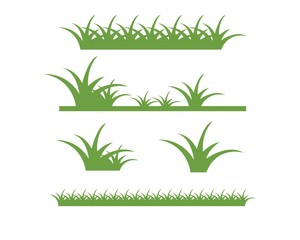 Fototapeta premium grass vector illustration template