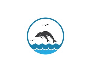 Dolphin logo icon vector