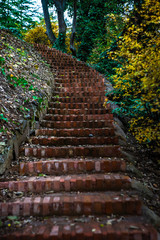 Obraz premium Autumnal path in a park