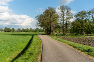 Dirt track leading through the green fields of the IJssel Valley edge with Veluwe with trees in green landscape near Loenen (The Netherlands)
