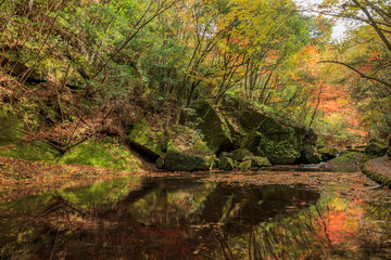 秋の岳切渓谷　大分県宇佐市　Takkiri Canyon　autumn　Ooita Usa city