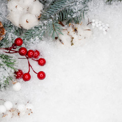 Festive winter flat lay. Snow, cones and branches of a green Christmas tree on a white background