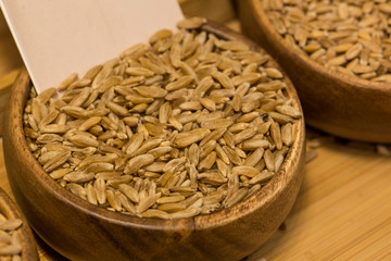 Grains of wheat in closeup