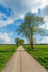 Fototapeta na wymiar Dirt track leading through the green fields of the IJssel Valley edge with Veluwe with trees in green landscape near Loenen (The Netherlands)