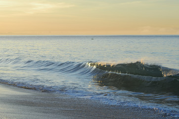 A morning wave breaking along the Pacific coast.