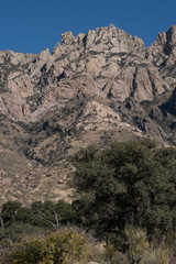 Fototapeta na wymiar Vertical of the Jagged Organ mountain Peaks in New Mexico.