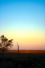 Fototapeta na wymiar Sunset in Mungo National Park in Australia