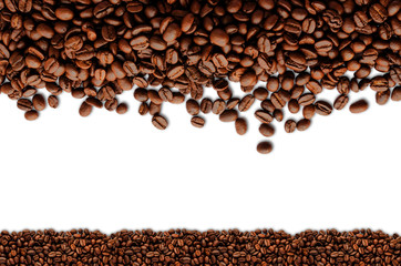 Coffee beans. Isolated on a white background.