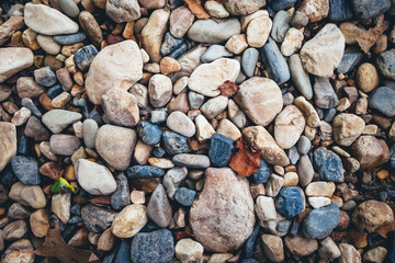 pebbles on the beach