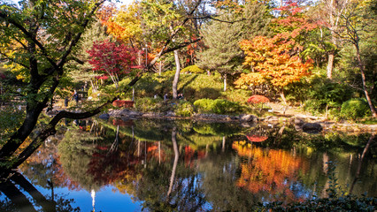 紅葉の公園