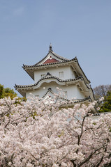 兵庫県　明石城