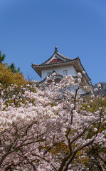 兵庫県　明石城