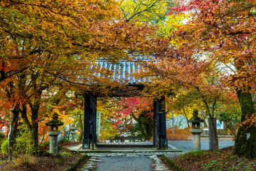 晩秋の秋月城址黒門