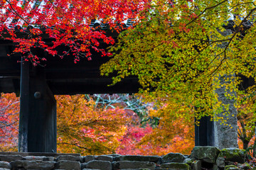 晩秋の秋月城址黒門