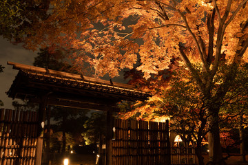 冠木門と日本庭園の紅葉