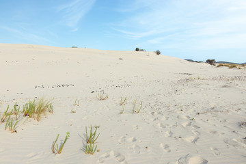 Porto Pino - Spiaggia delle Dune