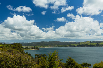 Fototapeta na wymiar ニュージーランド　コロマンデル半島のシェークスピア・クリフからの眺め