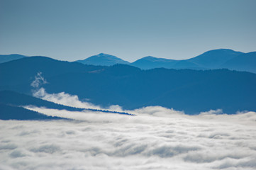 The fog envelops the forest